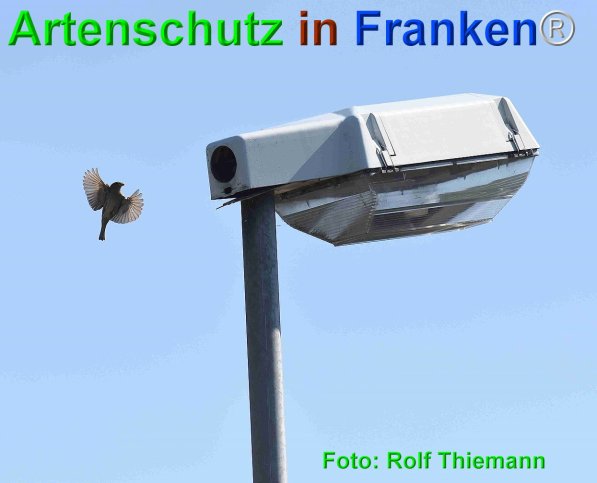 Copyright AiF Rolf Thiemann Bild zum Eintrag (75267-160)