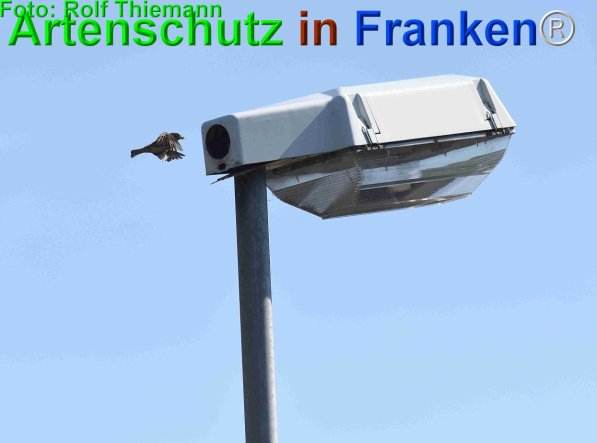 Copyright AiF Rolf Thiemann Bild zum Eintrag (75268-160)