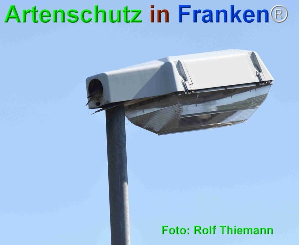 Copyright AiF Rolf Thiemann Bild zum Eintrag (75269-160)