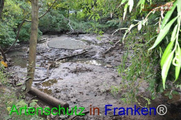 Copyright AiF Rolf Thiemann Bild zum Eintrag (76410-160)