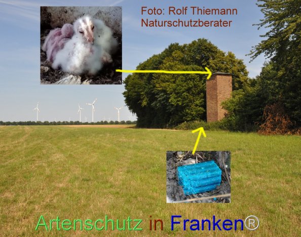 Copyright AiF Rolf Thiemann Bild zum Eintrag (76425-160)
