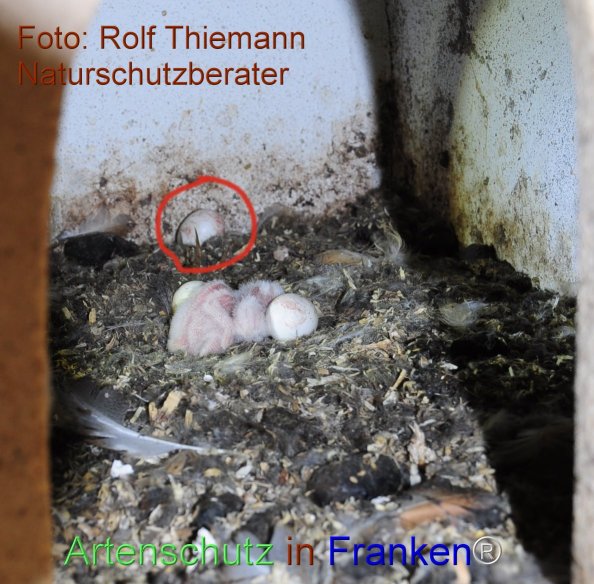 Bild zum Eintrag (76437-160)