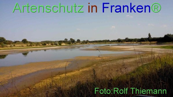 Copyright AiF Rolf Thiemann Bild zum Eintrag (76656-160)