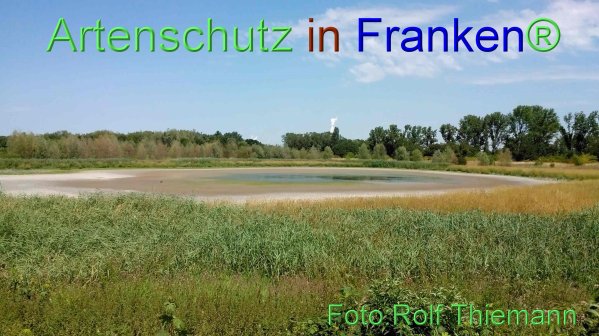 Copyright AiF Rolf Thiemann Bild zum Eintrag (76659-160)