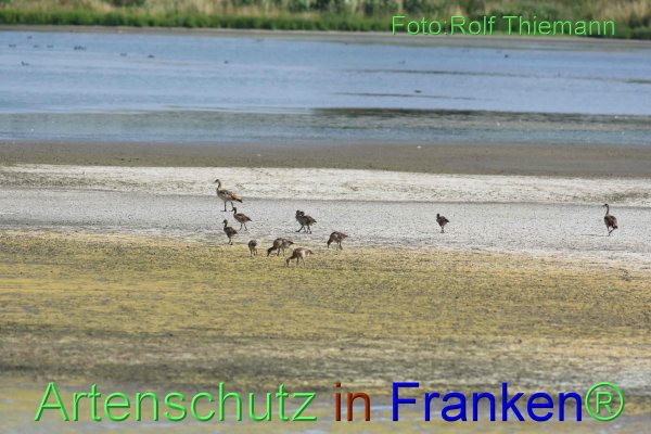 Copyright AiF Rolf Thiemann Bild zum Eintrag (76660-160)