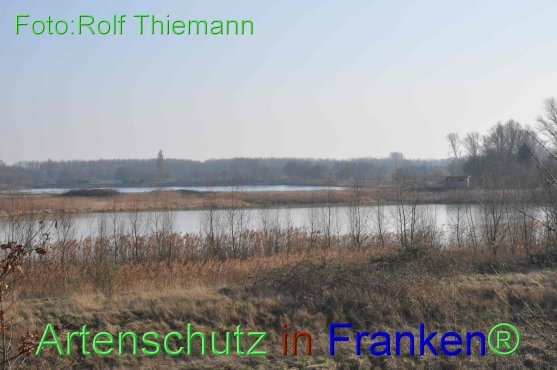 Copyright AiF Rolf Thiemann Bild zum Eintrag (76661-160)