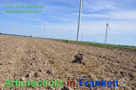 Copyright AiF Rolf Thiemann Bild zum Eintrag (77595-160)
