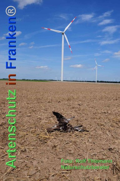 Copyright AiF Rolf Thiemann Bild zum Eintrag (77606-160)