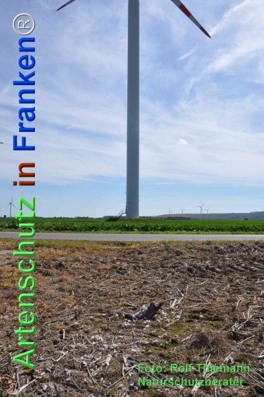 Copyright AiF Rolf Thiemann Bild zum Eintrag (77607-160)