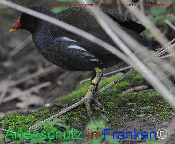 Copyright AiF (Bilder. H.Hiller,P.Heiks,N.Wolf,R.Thiemann) Bild zum Eintrag (77871-160)