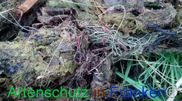 Copyright AiF (Bilder. H.Hiller,P.Heiks,N.Wolf,R.Thiemann) Bild zum Eintrag (77873-160)