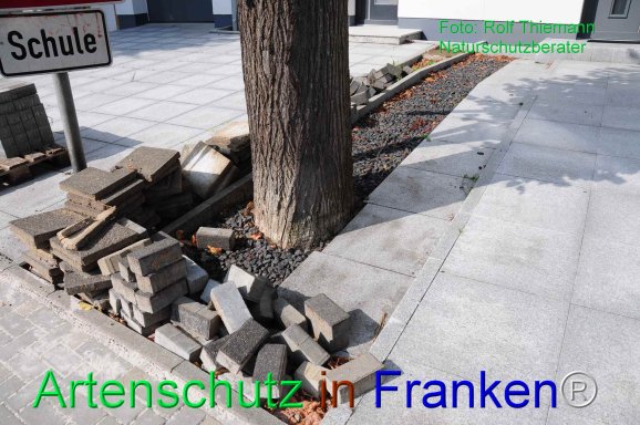 Copyright AiF Rolf Thiemann Bild zum Eintrag (77907-160)