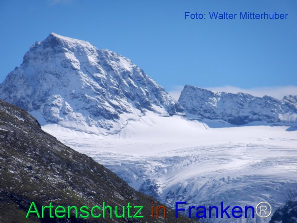 Copyright AiF Walter Mitterhuber Bild zum Eintrag (77998-160)