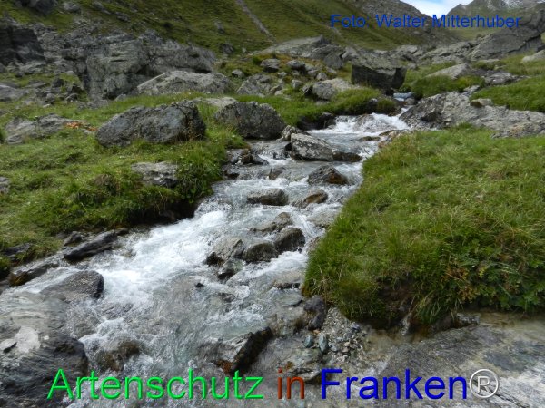 Copyright AiF Walter Mitterhuber Bild zum Eintrag (78000-160)