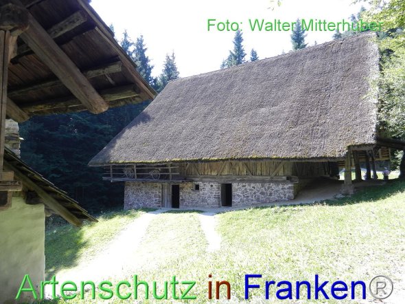 Copyright AiF Walter Mitterhuber Bild zum Eintrag (78018-160)