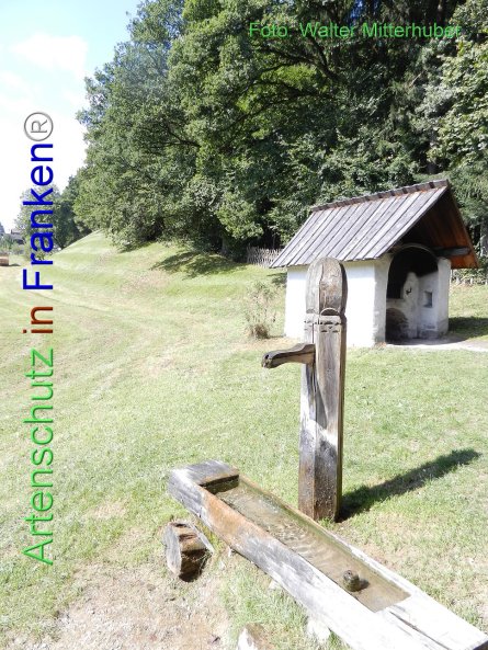Copyright AiF Walter Mitterhuber Bild zum Eintrag (78028-160)