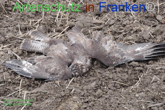 Copyright AiF Rolf Thiemann Bild zum Eintrag (78547-160)