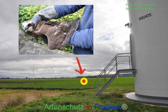 Copyright AiF Rolf Thiemann Bild zum Eintrag (78551-160)