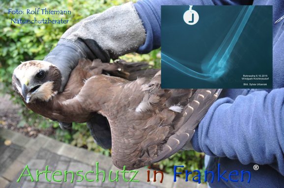 Copyright AiF Rolf Thiemann Bild zum Eintrag (78755-160)