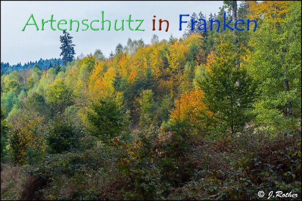 Copyright AiF Johannes Rother Bild zum Eintrag (79284-160)