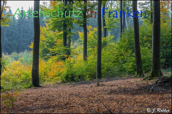 Copyright AiF Johannes Rother Bild zum Eintrag (79287-160)