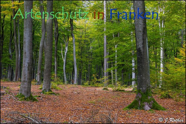 Copyright AiF Johannes Rother Bild zum Eintrag (79288-160)