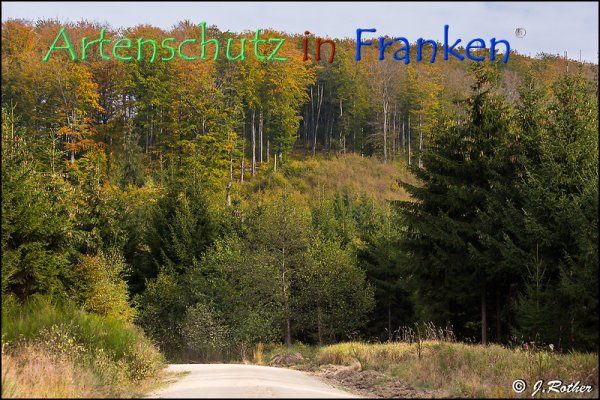 Copyright AiF Johannes Rother Bild zum Eintrag (79289-160)