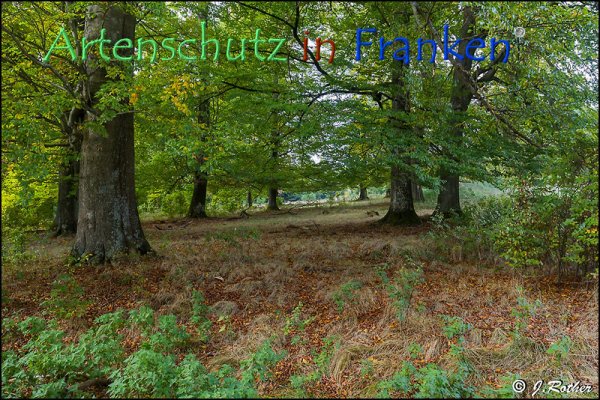 Copyright AiF Johannes Rother Bild zum Eintrag (79292-160)