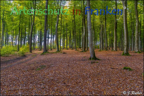 Copyright AiF Johannes Rother Bild zum Eintrag (79293-160)
