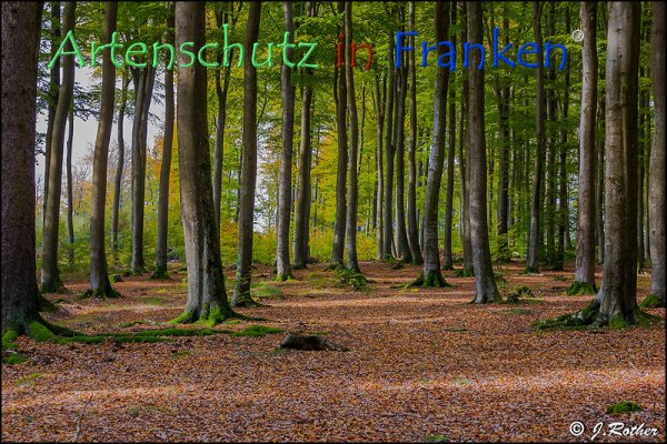 Copyright AiF Johannes Rother Bild zum Eintrag (79294-160)