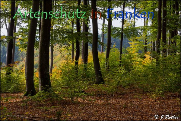 Copyright AiF Johannes Rother Bild zum Eintrag (79296-160)
