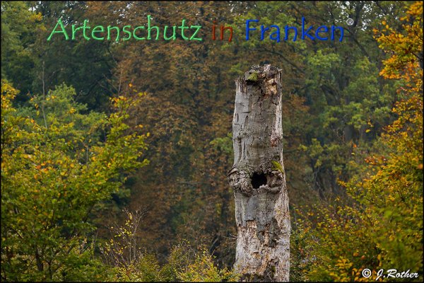 Bild zum Eintrag (79325-160)