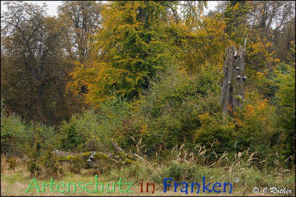 Bild zum Eintrag (79337-160)