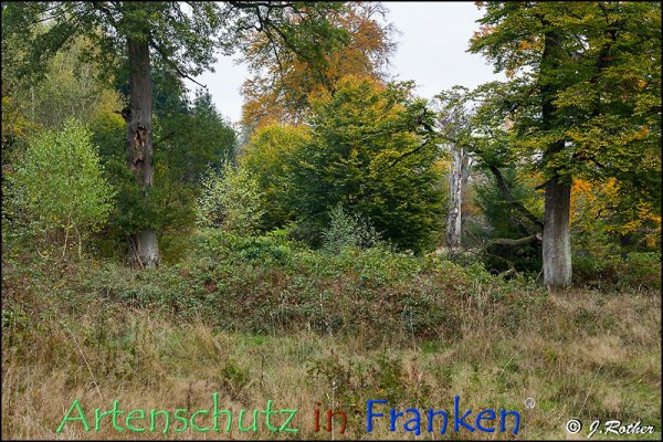 Bild zum Eintrag (79341-160)