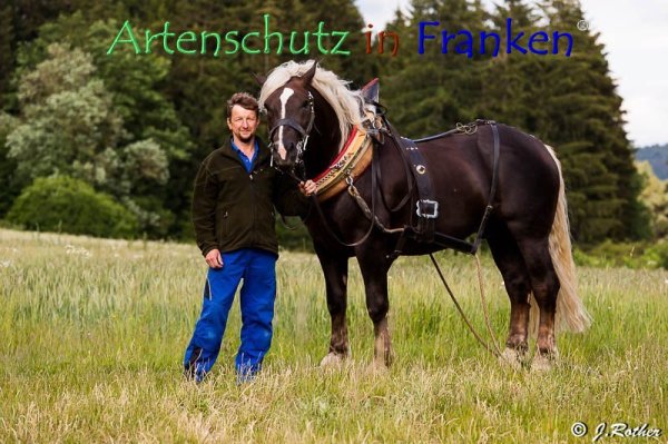 Copyright AiF Johannes Rother Bild zum Eintrag (79382-160)