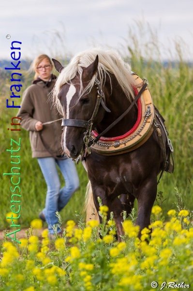 Copyright AiF Johannes Rother Bild zum Eintrag (79384-160)