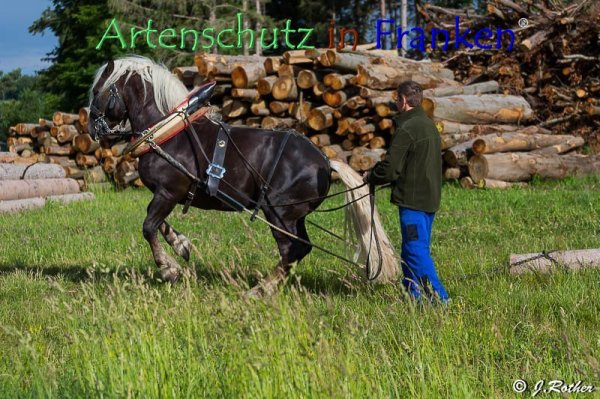 Bild zum Eintrag (79397-160)