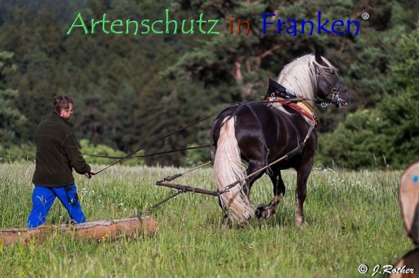 Bild zum Eintrag (79398-160)
