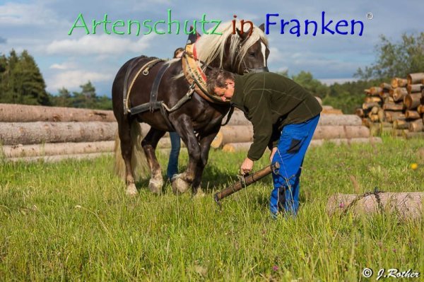 Bild zum Eintrag (79399-160)