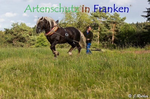 Bild zum Eintrag (79409-160)