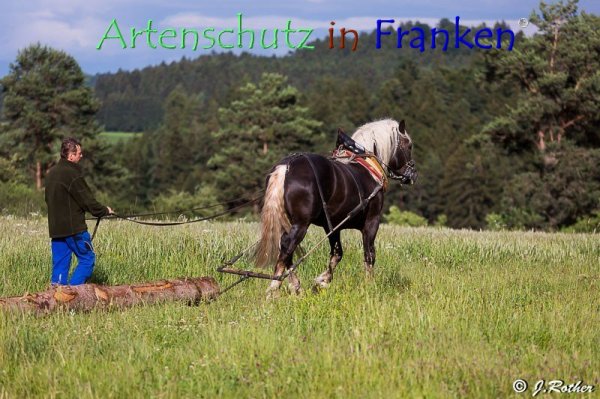 Bild zum Eintrag (79413-160)