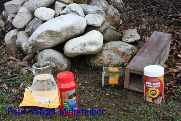 Copyright AiF Walter Mitterhuber Bild zum Eintrag (80860-160)
