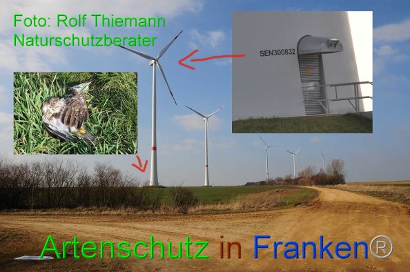 Copyright AiF-Rolf Thiemann Bild zum Eintrag (81533-160)