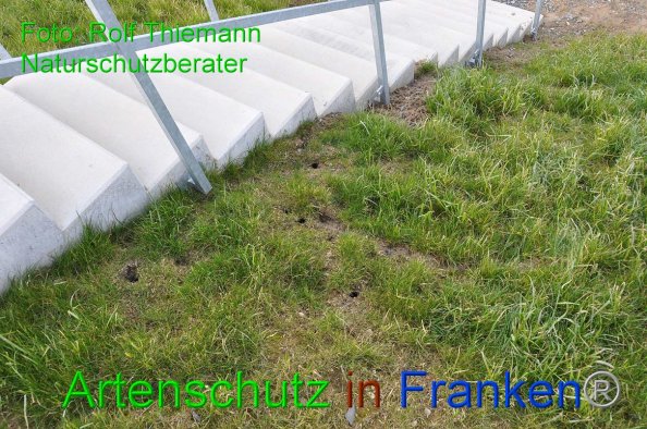 Copyright AiF-Rolf Thiemann Bild zum Eintrag (81534-160)