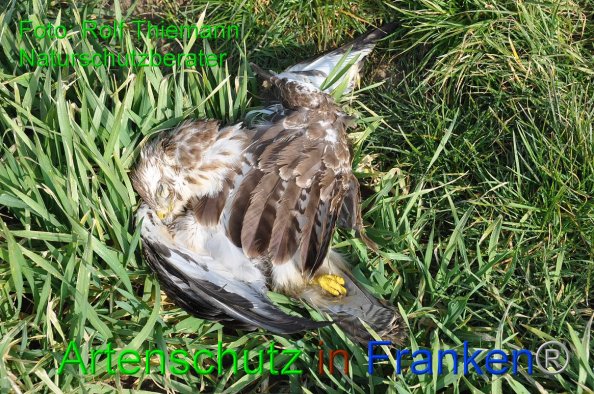 Copyright AiF-Rolf Thiemann Bild zum Eintrag (81535-160)