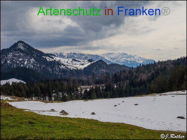 Bild zum Eintrag (82082-160)