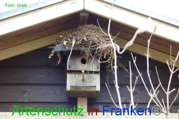 Copyright AiF Volkmar Greb Bild zum Eintrag (82108-160)