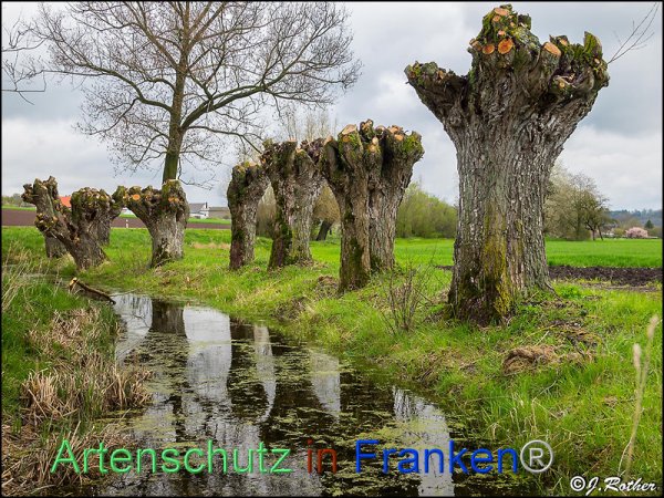 Copyright AiF Johannes Rother Bild zum Eintrag (82401-160)