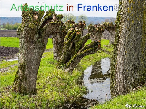 Copyright AiF Johannes Rother Bild zum Eintrag (82402-160)