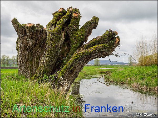 Copyright AiF Johannes Rother Bild zum Eintrag (82403-160)